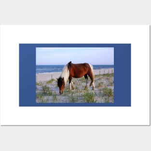 Wild horses, wildlife, gifts, Assateague, Upon the Dunes Posters and Art